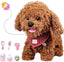 Walking Dog Toy for Kids with Leash, Puppy Toys for Kids, Toy Dogs That Walk and Bark, Interactive Stuffed Puppy with Remote Control, For Girls and Boys Aged 3-7 Year Old