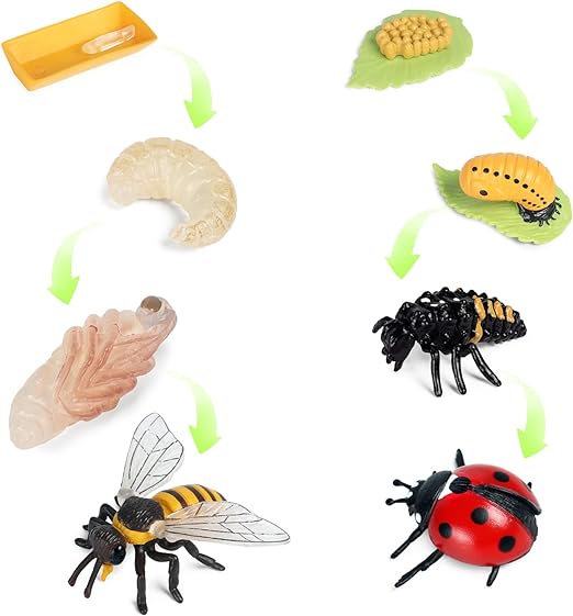 4pcs Butterfly Life Cycle Toy Figurines and 4pcs Actias Ningpoana Figure-Plastic Caterpillar to Monarch Butterfly Growth Cycle Toy Insect Figures Teaching Tools School Project for Kids