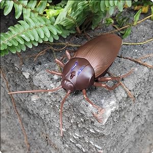 Cockroach Remote Control Car, Electronic Bug Toy, Realistic Cockroach Toy, Cat Pet Kids Gift, Remote Control Bug Vehicle, Cockroach RC Toy - Toyigo