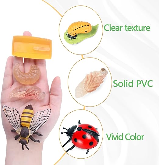 4pcs Butterfly Life Cycle Toy Figurines and 4pcs Actias Ningpoana Figure-Plastic Caterpillar to Monarch Butterfly Growth Cycle Toy Insect Figures Teaching Tools School Project for Kids