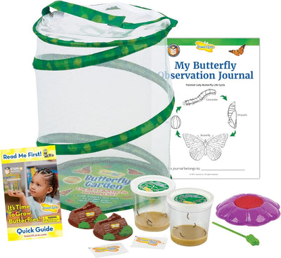 Original Habitat and Two Live Cups of Caterpillars with STEM Butterfly Journal, Life Science & STEM Education, Butterfly Science Kit - Toyigo