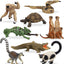 Jungle Animals Figurines Toy, 11PCS Madagascar, Jungle Forest Zoo Animal Figures Set, Christmas Birthday Gift Party Favor School Project for Kids Toddlers, with Meerkat Lemur Chameleon Crocodile - Toyigo