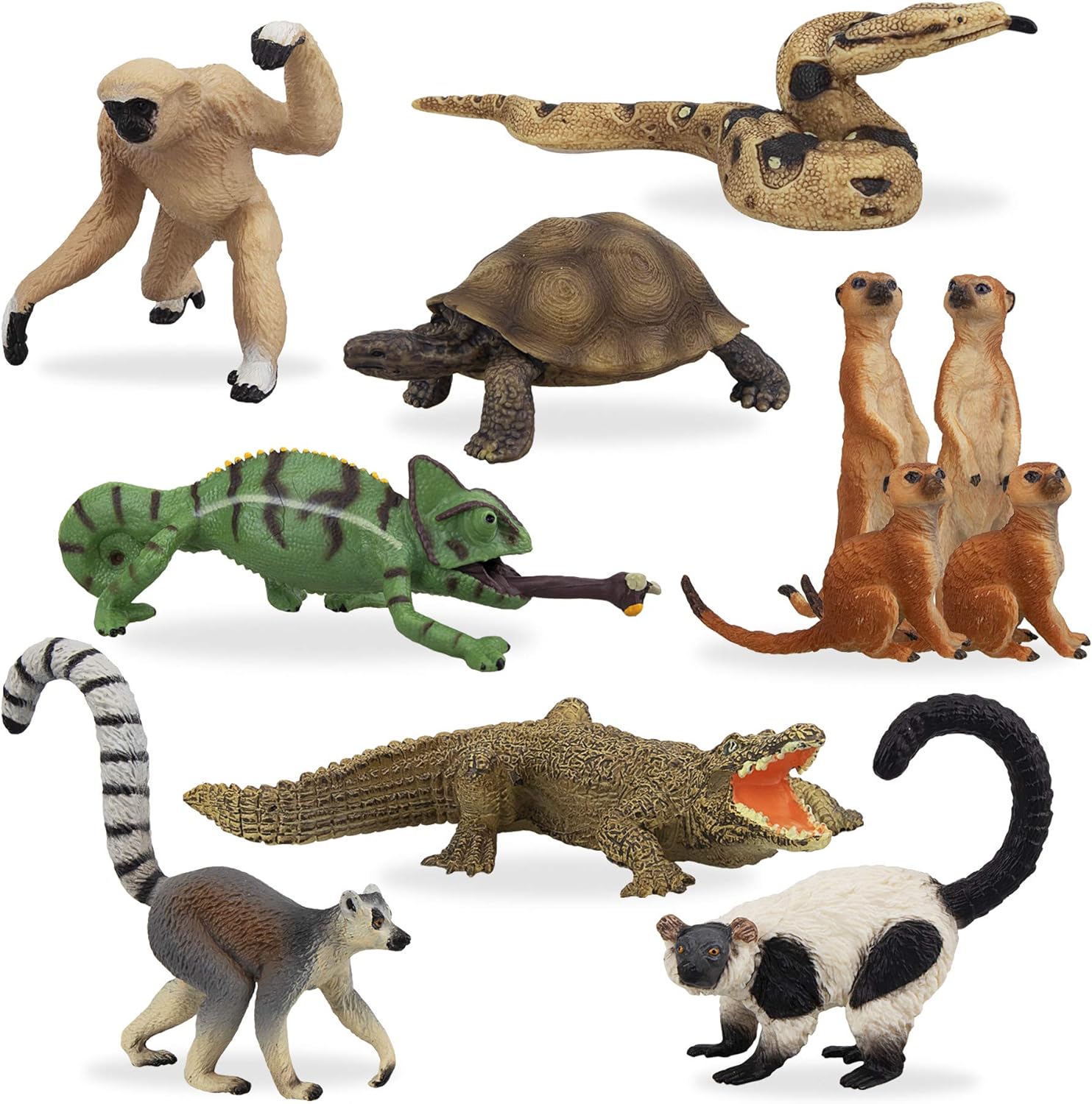 Jungle Animals Figurines Toy, 11PCS Madagascar, Jungle Forest Zoo Animal Figures Set, Christmas Birthday Gift Party Favor School Project for Kids Toddlers, with Meerkat Lemur Chameleon Crocodile - Toyigo