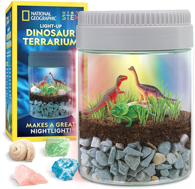 Dinosaur Terrarium Kit for Kids, Multicolor Light Up Terrarium Kit for Kids, Build a Dinosaur Habitat with Real Plants & Fossils, Science Kit, Dinosaur Toys for Kids, Kids Science - Toyigo