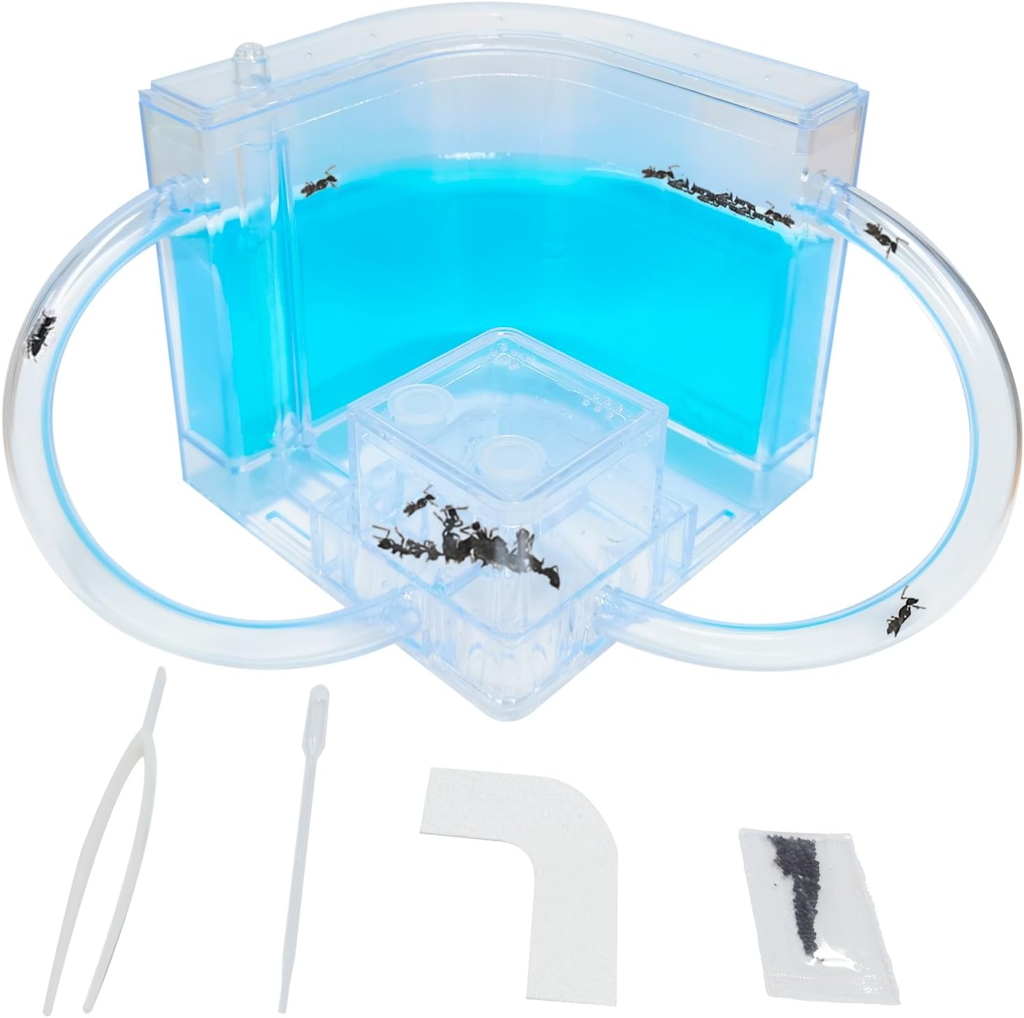 Ant Farm for Kids Gel, Ant Castle Colony Ecosystem Terrarium kit, Ant Habitat Science Learning Kit - Toyigo