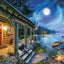 Darrell Bush - Moonlight Lodge - 1000 Piece Jigsaw Puzzle , Blue