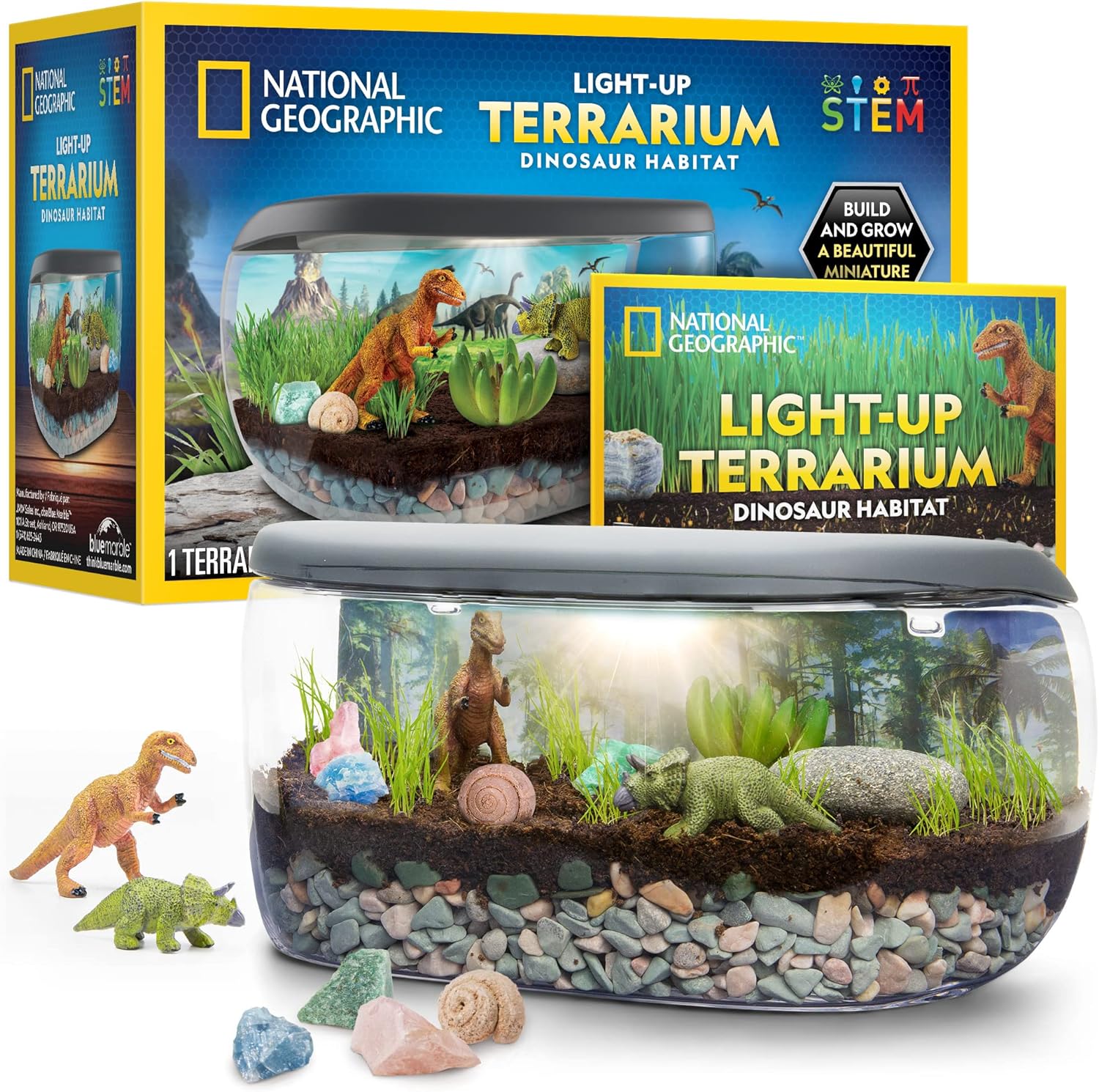 Light Up Terrarium Kit for Kids, Build a Dinosaur Habitat with Real Plants & Fossils, Science Kit, Dinosaur Toys for Kids - Toyigo