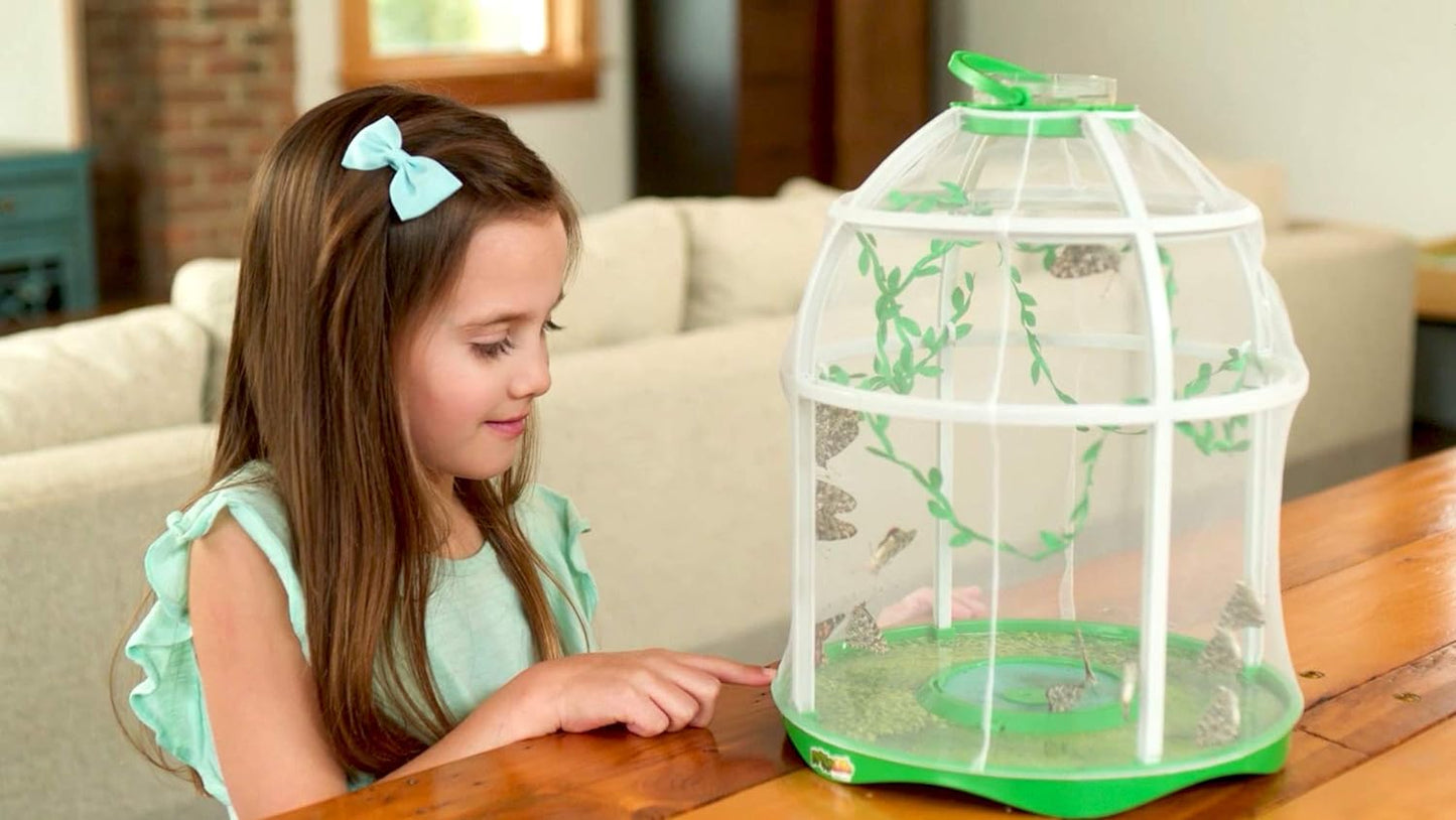 Butterfly Farm Live Habitat, Observe Caterpillars Transform Into Butterflies, STEM Toy, Great Gifts for Boys & Girls Ages 6+ - Toyigo