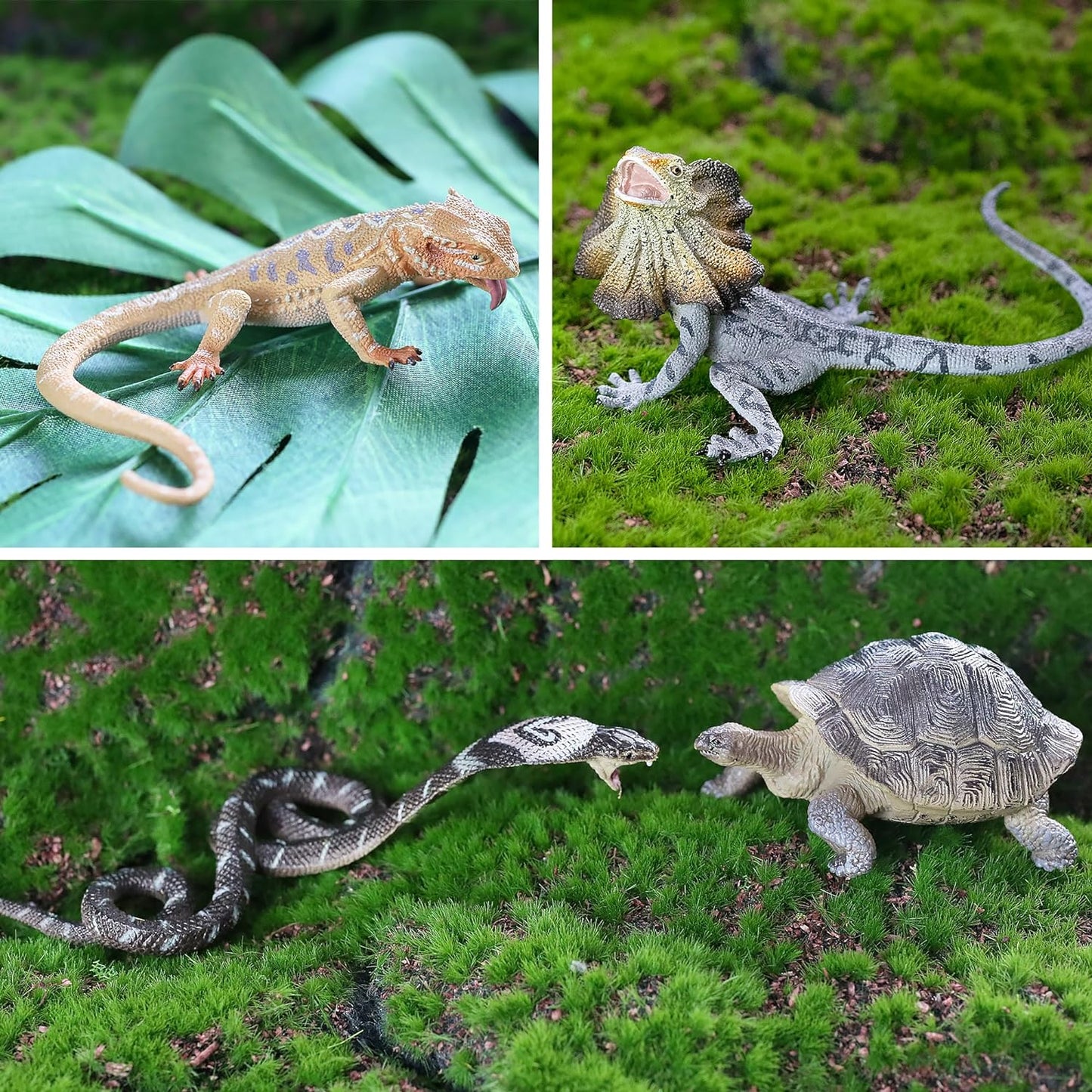 Reptile Animal Figurine Toys, 12PCS Reptile Animal Figurine Toys Set?Cold Blooded Amphibians Desert Animal Figures Set, with Komodo Dragon Lizard Snake Chameleon Toy Birthday Gift Party Favor for Kids Toddlers - Toyigo