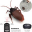 Cockroach Remote Control Car, Electronic Bug Toy, Realistic Cockroach Toy, Cat Pet Kids Gift, Remote Control Bug Vehicle, Cockroach RC Toy - Toyigo