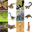 Jungle Animals Figurines Toy, 11PCS Madagascar, Jungle Forest Zoo Animal Figures Set, Christmas Birthday Gift Party Favor School Project for Kids Toddlers, with Meerkat Lemur Chameleon Crocodile - Toyigo