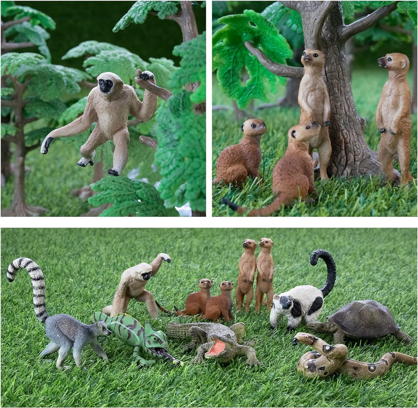 Jungle Animals Figurines Toy, 11PCS Madagascar, Jungle Forest Zoo Animal Figures Set, Christmas Birthday Gift Party Favor School Project for Kids Toddlers, with Meerkat Lemur Chameleon Crocodile - Toyigo