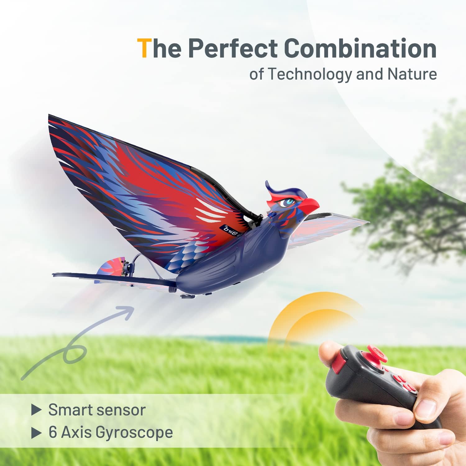 2.4G Remote Control Bird Toy, RC Bird Bionic Flying Bird, 6-axis Gyro RC Bird, Fabric Single Wing Lifting Design, Easy Indoor Outdoor RC Toy for Kids - Toyigo