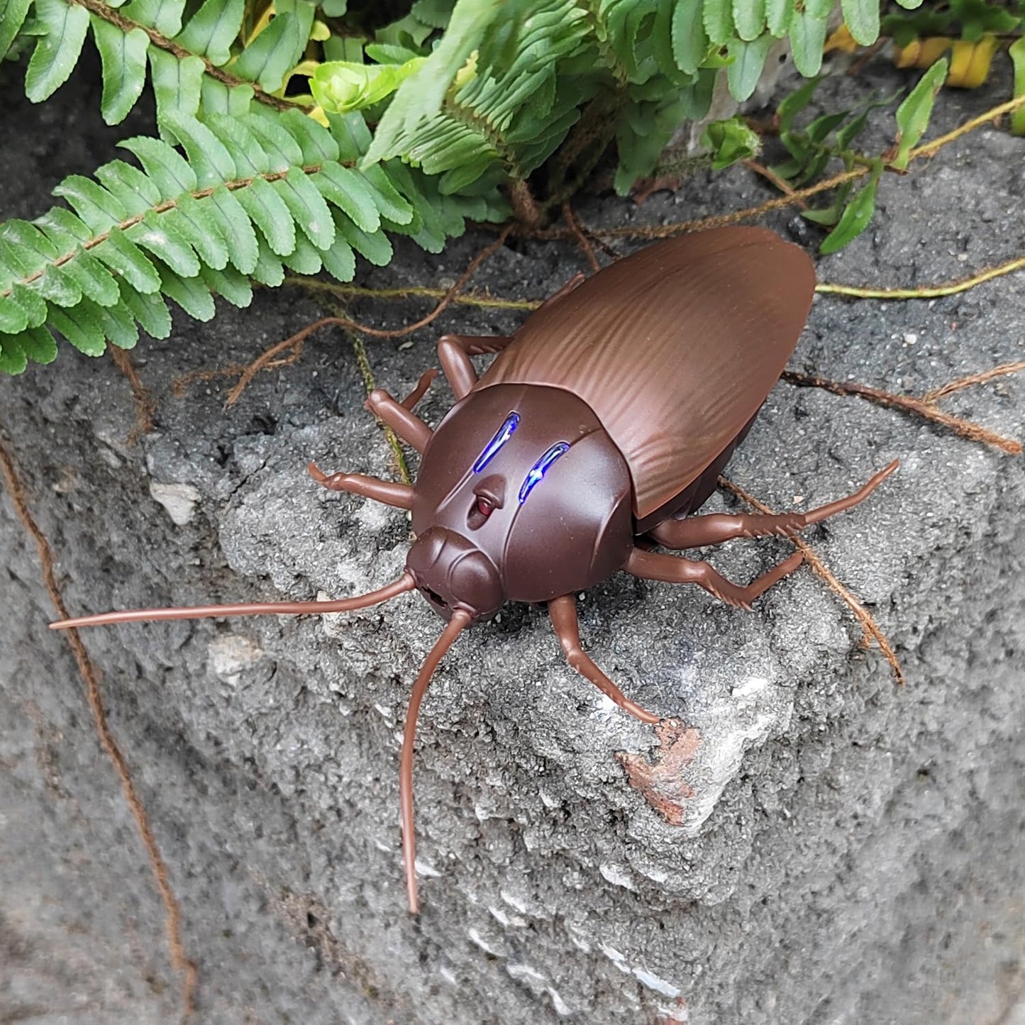 Cockroach Remote Control Car, Electronic Bug Toy, Realistic Cockroach Toy, Cat Pet Kids Gift, Remote Control Bug Vehicle, Cockroach RC Toy - Toyigo