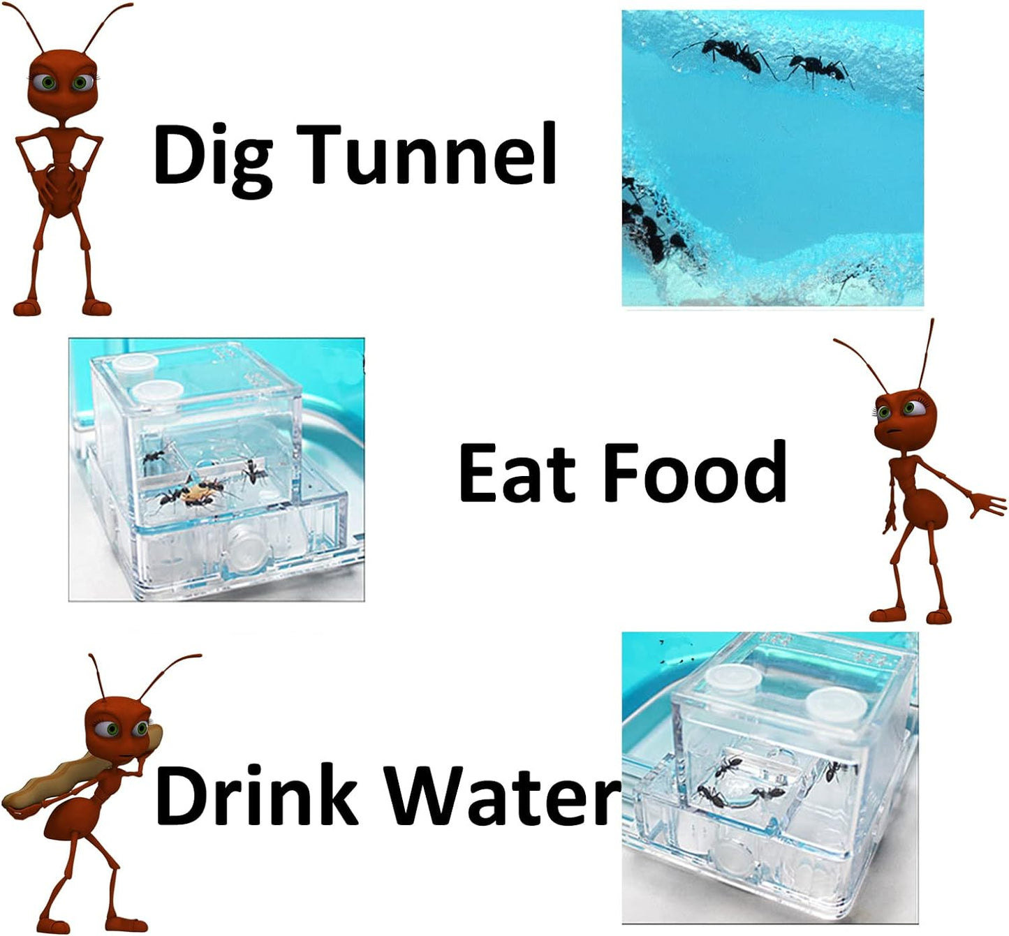 Ant Farm for Kids Gel, Ant Castle Colony Ecosystem Terrarium kit, Ant Habitat Science Learning Kit - Toyigo