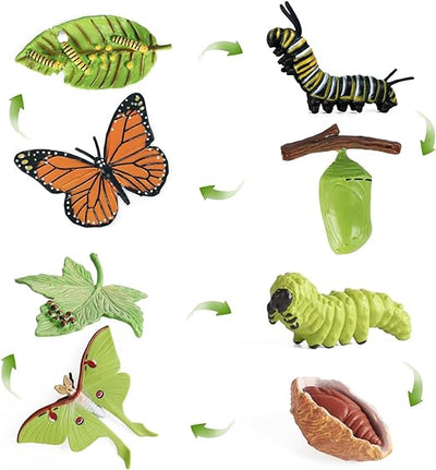 4pcs Butterfly Life Cycle Toy Figurines and 4pcs Actias Ningpoana Figure-Plastic Caterpillar to Monarch Butterfly Growth Cycle Toy Insect Figures Teaching Tools School Project for Kids