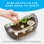 Light Up Terrarium Kit for Kids, Build a Dinosaur Habitat with Real Plants & Fossils, Science Kit, Dinosaur Toys for Kids - Toyigo