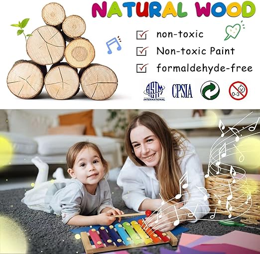 Preschool Educational Musical Toys, Toddler Musical Instruments Toys, Wooden Percussion Instruments Set for Kids Baby with Xylophone , Boys and Girls with Storage Bag(12pcs) - Toyigo