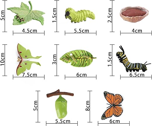 4pcs Butterfly Life Cycle Toy Figurines and 4pcs Actias Ningpoana Figure-Plastic Caterpillar to Monarch Butterfly Growth Cycle Toy Insect Figures Teaching Tools School Project for Kids