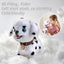 Walking Barking Toy Dog with Remote Control Leash, Plush Puppy Electronic Interactive Toys for Kids, Shake Tail, Pretend Dress Up Realistic Stuffed Animal Dog Age 3 4 5+ Years Old