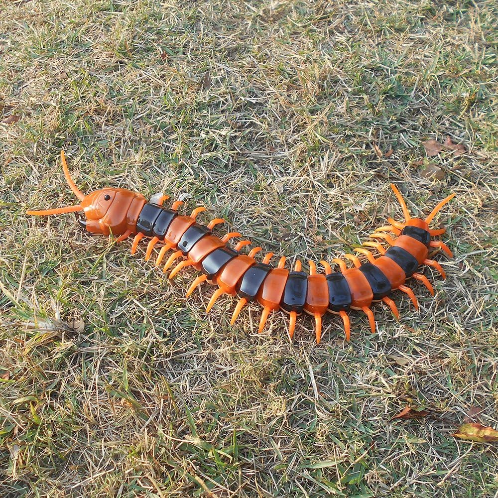 RC Centipede Toy, Remote Control Centipede Prank, Realistic Centipede RC, Electric Centipede Toy, Electric Prank Centipede, Prank Toy For Kids - Toyigo