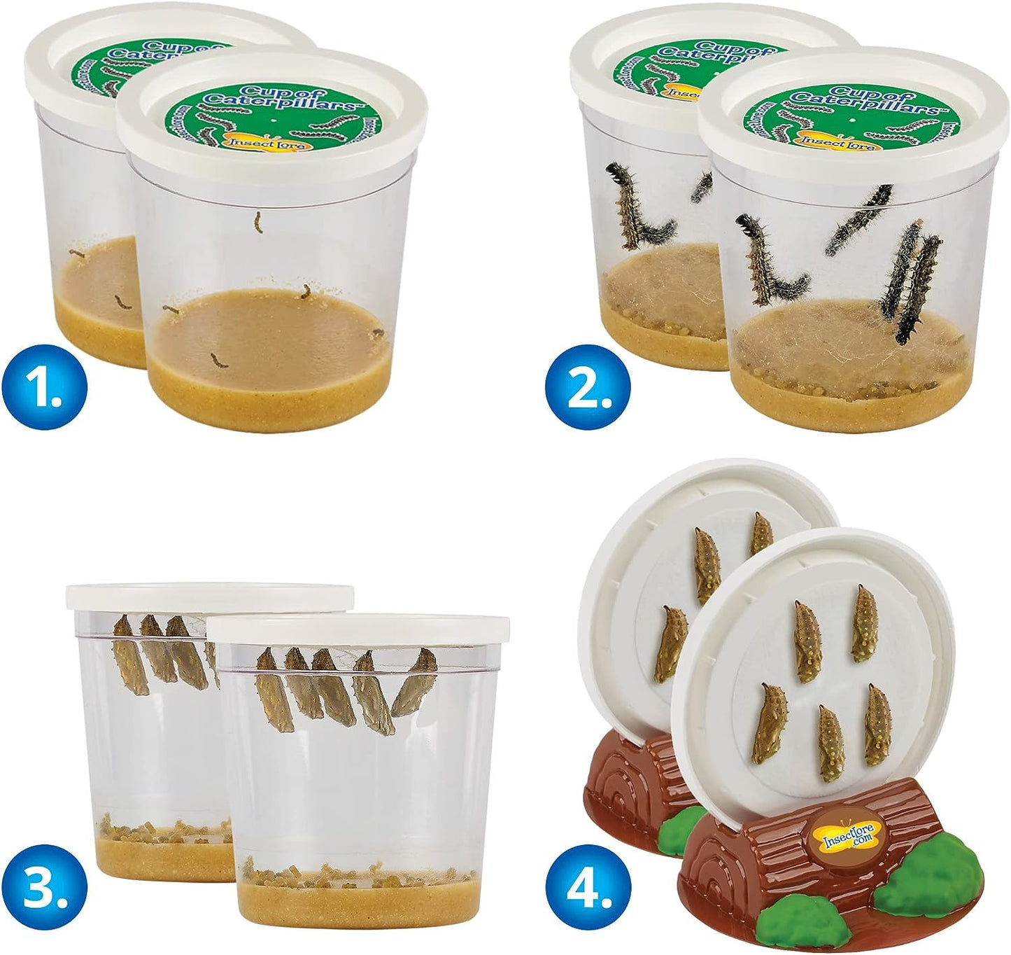 Original Habitat and Two Live Cups of Caterpillars with STEM Butterfly Journal, Life Science & STEM Education, Butterfly Science Kit - Toyigo