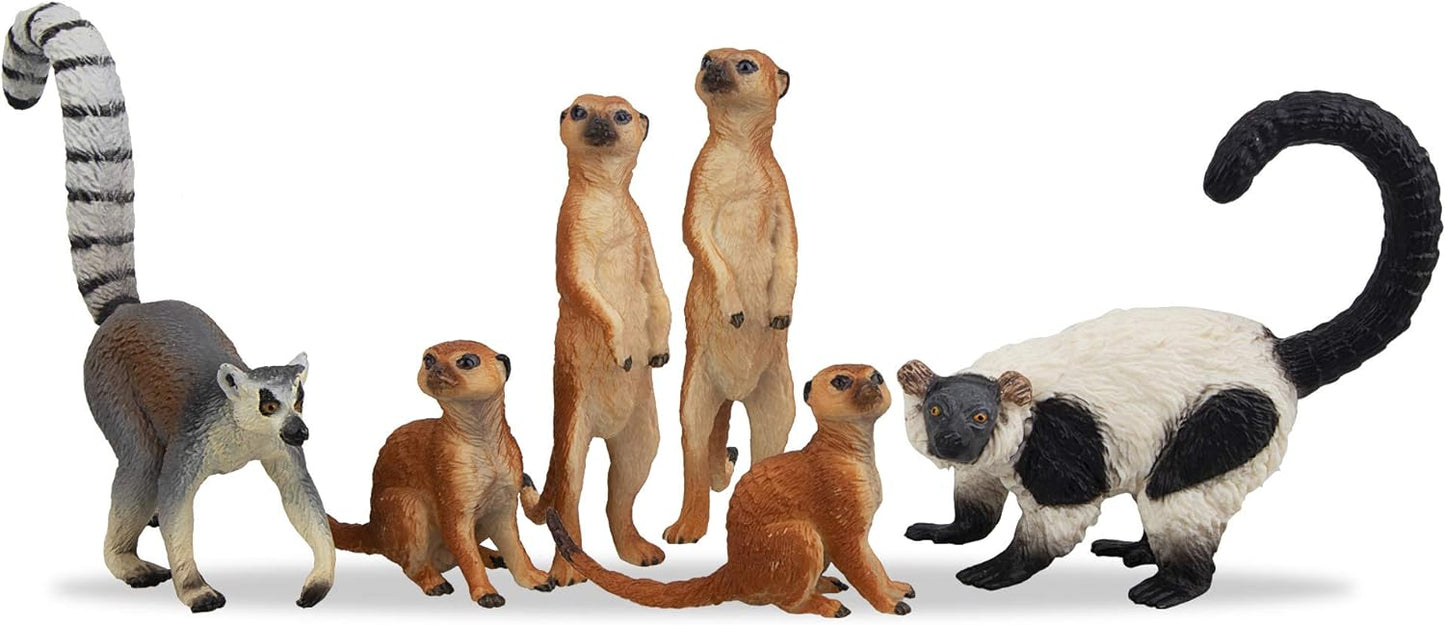 Jungle Animals Figurines Toy, 11PCS Madagascar, Jungle Forest Zoo Animal Figures Set, Christmas Birthday Gift Party Favor School Project for Kids Toddlers, with Meerkat Lemur Chameleon Crocodile - Toyigo