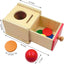 Montessori Coin & Ball Drop Box - 2-in-1 Object Permanence Toy for Babies 6-24 Months