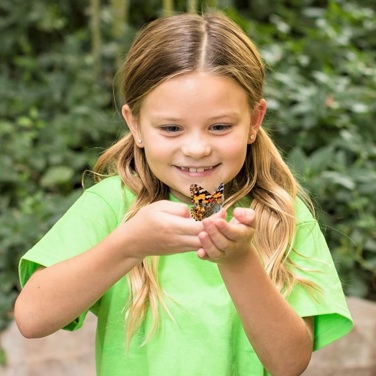 Original Habitat and Two Live Cups of Caterpillars with STEM Butterfly Journal, Life Science & STEM Education, Butterfly Science Kit - Toyigo