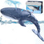 Remote Control Pool Toy Whale Shark RC Boat for Kids 6-12, Outdoor Water Fun with Extra Battery