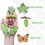 4pcs Butterfly Life Cycle Toy Figurines and 4pcs Actias Ningpoana Figure-Plastic Caterpillar to Monarch Butterfly Growth Cycle Toy Insect Figures Teaching Tools School Project for Kids