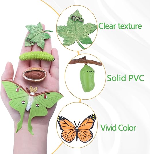 4pcs Butterfly Life Cycle Toy Figurines and 4pcs Actias Ningpoana Figure-Plastic Caterpillar to Monarch Butterfly Growth Cycle Toy Insect Figures Teaching Tools School Project for Kids