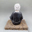 15CM Toys Manga Figurine - Hokage Jiraiya Sitting Posture Japanese Cartoon Model Statues PVC Anime Figure