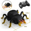 2.4GHz Smart Stunt RC Animals - Intelligent Interactive Remote Control Spider