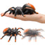 Trend 2024 Infrared Remote Control Prank Animal Toy - Novelty RC Spider Toy for Kids