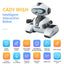 Programmable Gesture Sensing RC Robot for Kids - Intelligent Interactive Smart Toy