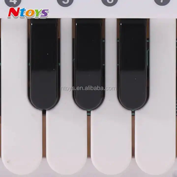 Electric Cartoon Piano Toy Musical Instrument for Kids Ages 3-6 Years