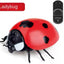 Infrared RC Ladybird Toy - Remote Control Educational Insect for Kids Ages 4-8 Years