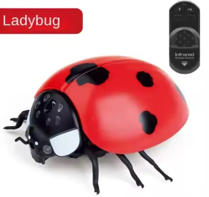 Infrared RC Ladybird Toy - Remote Control Educational Insect for Kids Ages 4-8 Years