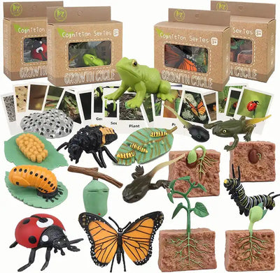 Life Cycle Animal Figurines ? Montessori Teaching Aids for Preschool Early Learning Educational Toys for Babies and Toddlers