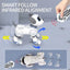 RC Robot Dog Toy - Mini Stunt Dog with Dancing, Walking, and Touch Function for Kids and Adults Ages 6+