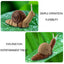 Realistic RC Snail Remote Control Animal Toy - Engaging Electronic Insect Vehicle for Kids