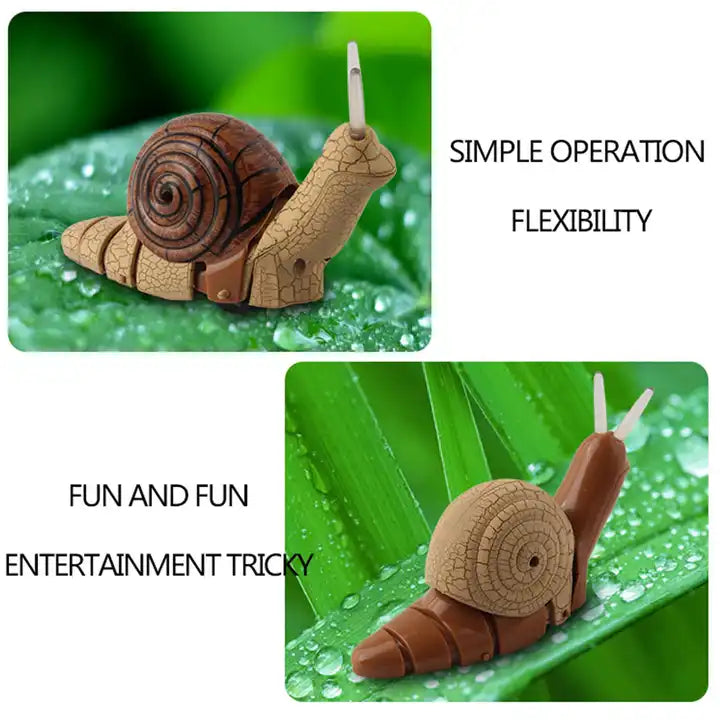 Realistic RC Snail Remote Control Animal Toy - Engaging Electronic Insect Vehicle for Kids