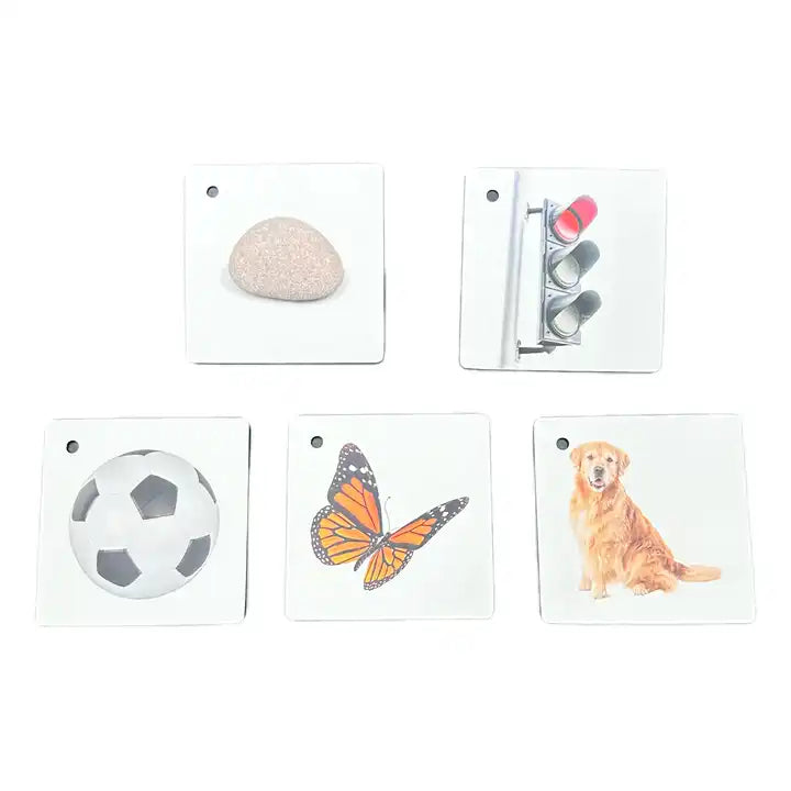 OEM Printed Learning Flash Cards for Kids | Educational Memory Game Made of Paper