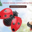 Infrared RC Ladybird Toy - Remote Control Educational Insect for Kids Ages 4-8 Years