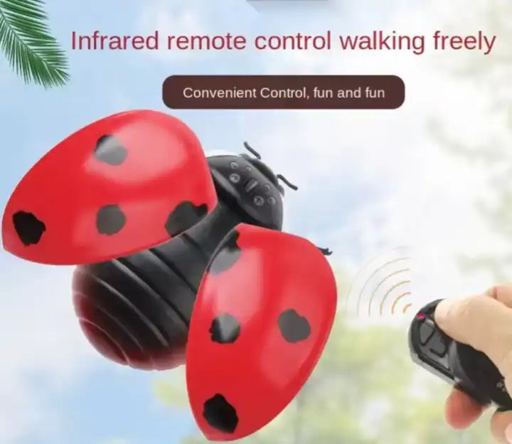 Infrared RC Ladybird Toy - Remote Control Educational Insect for Kids Ages 4-8 Years