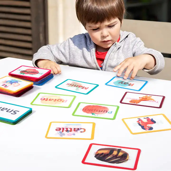 3D Visual English Words Cognitive Card - Literacy Learning Flash Cards for Toddlers