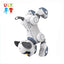 Intelligent Remote Control Robot Dog - Multi-Functional Dancing and Singing Pet Toy for Kids