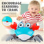 HW 2.4G Remote Control Electric Crawling Crab - Interactive RC Pet Toy for Kids