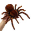 Infrared Remote Control Spider - Large Walking Insect Simulation Toy for Kids